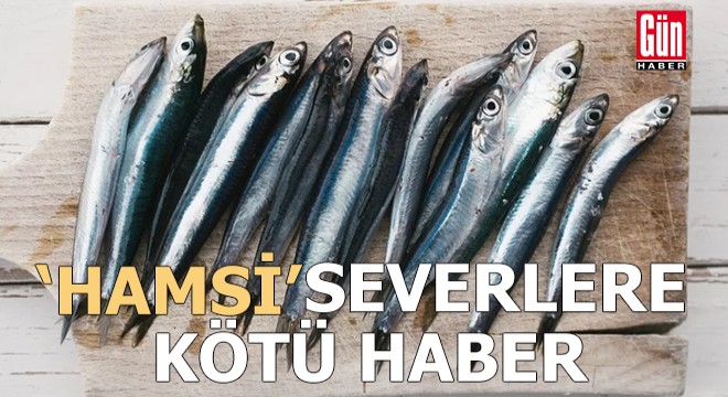 'Hamsi' severlere kötü haber