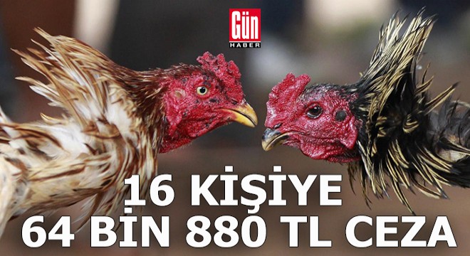 'Horoz dövüşü' baskını; 16 kişiye 64 bin 880 lira ceza