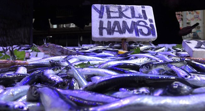 'Karadeniz'de balık stoku azalıyor'