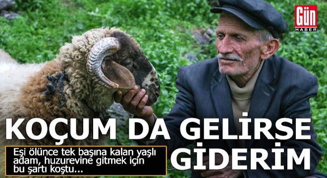 'Koçumu almadan huzurevine gitmem' dedi