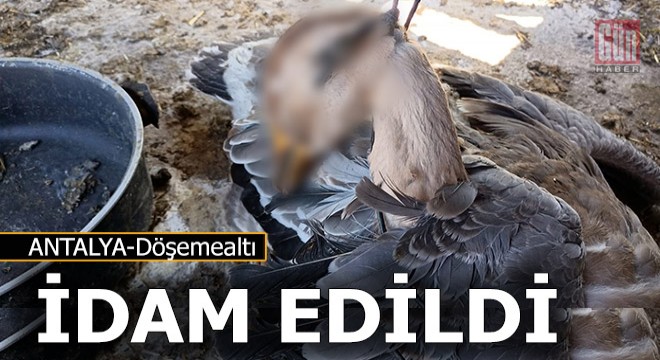 'Komşum bize gözdağı veriyor'