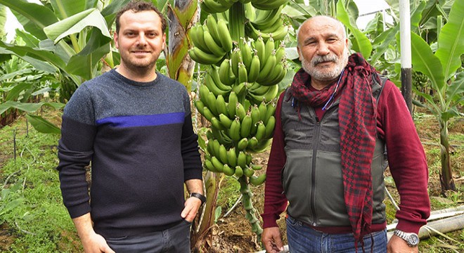 'Manavgat muzu, ithal muzdan daha iyi'