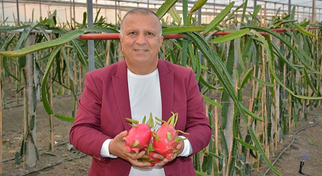 'Manavgat tropikal meyve üretiminin başkenti olacak'