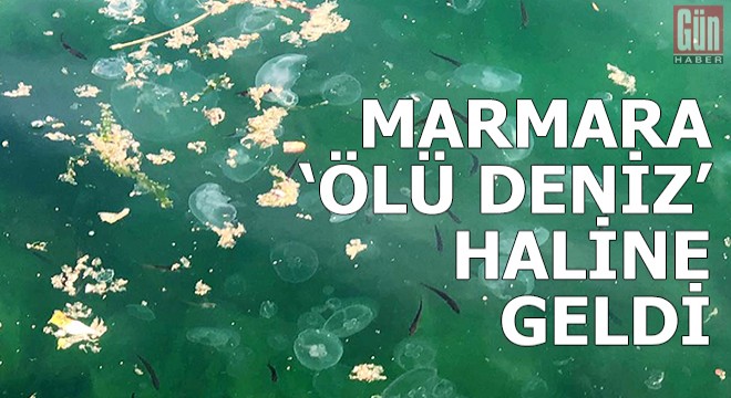 'Marmara, ölü deniz haline geldi'