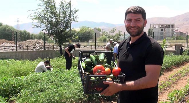 'Okul bostan'da yetiştirilen sebzeler, dar gelirli ailelere dağıtıldı