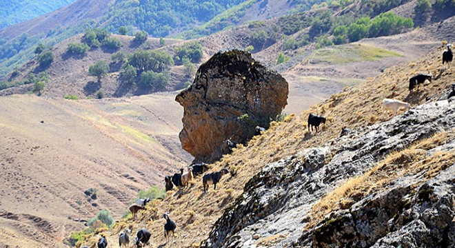 'Ovaya bakan adam' kayası