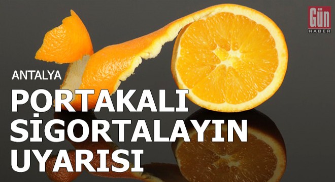 'Portakalı sigortalayın' uyarısı