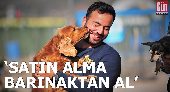 'Satın alma, barınaktan al'