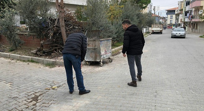 'Seri kedi katili' için özel ekip kuruldu