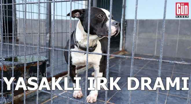 'Yasaklı ırk’ dramı