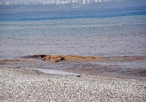 Akdeniz, yağmurla birlikte çamur rengine büründü