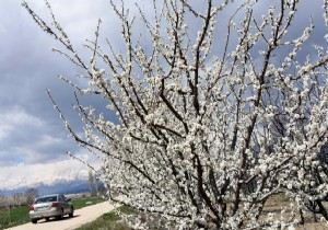 Dağlarda kar ovada bahar
