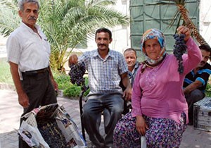 Organik Yazır üzümü lezzetiyle ilgi çekiyor