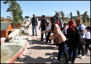 Öğrenciler yiyecek toplayıp barınakta hayvanlara yedirdiler