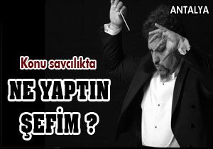 Ne yaptın şefim?
