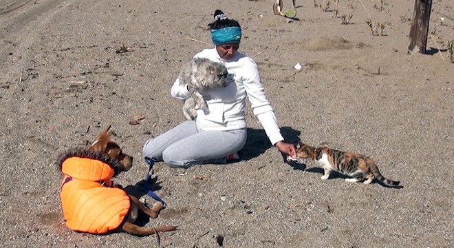  Anka nın kader arkadaşı, afetzede köpek  Deka 