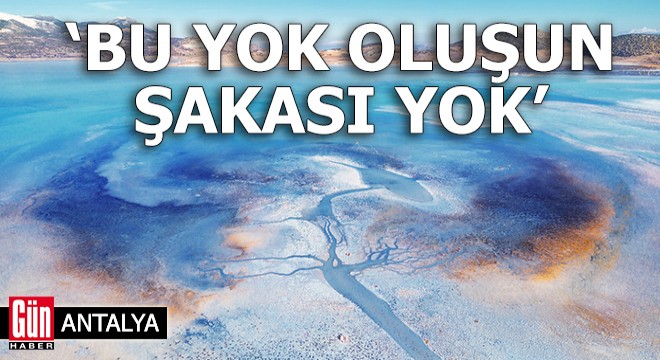  Bu yok oluşun şakası yok 