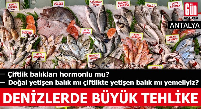  Denizler plastik çöplüğü haline gelmiş 