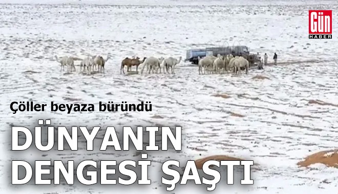 'Dünyanın dengesi şaştı' dedirten fotoğraf