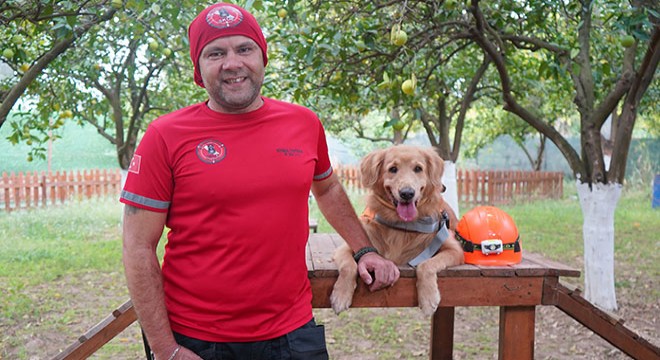  Evcil köpekler de arama kurtarma timlerinde yer alabilir 
