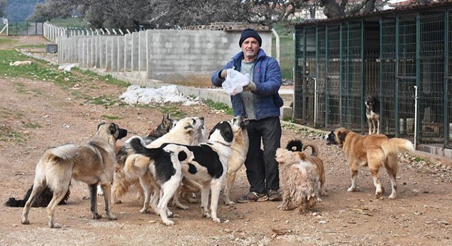  Gözyaşı Çiftliği  can dostlara yuva oldu