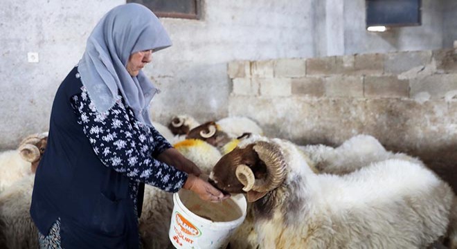  Kadınsın yapamazsın  dediler, kendi çiftliğini kurdu