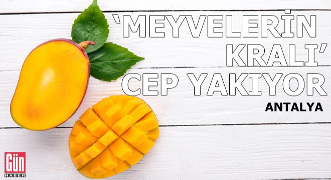  Meyvelerin kralı  cep yakıyor