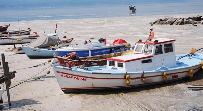  Müsilajın balık ve midyeye etkisi yok 