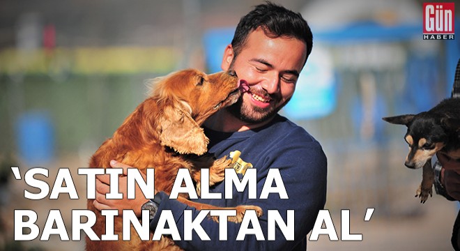  Satın alma, barınaktan al 