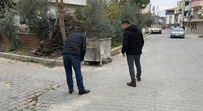  Seri kedi katili  için özel ekip kuruldu