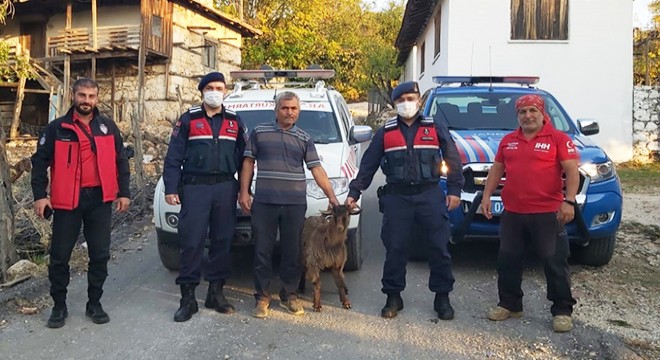 1 hafta uçurumda mahsur kalan keçi kurtarıldı