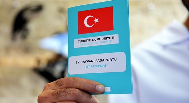 1 milyon 104 bin ev hayvanı kayıt altına alındı
