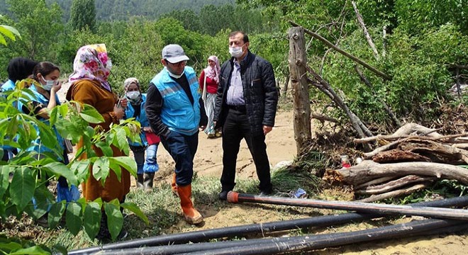 10 bin dönüm ekili alanda sağanak zararı