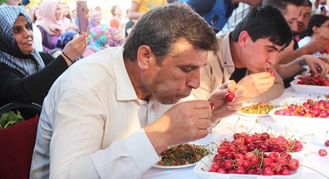 10 dakikada 2 kilo 117 gram kiraz yedi