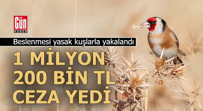 1000 saka için 1 milyon 200 bin TL ceza