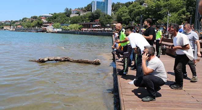 12 yaşındaki Berkcan denizde kayboldu