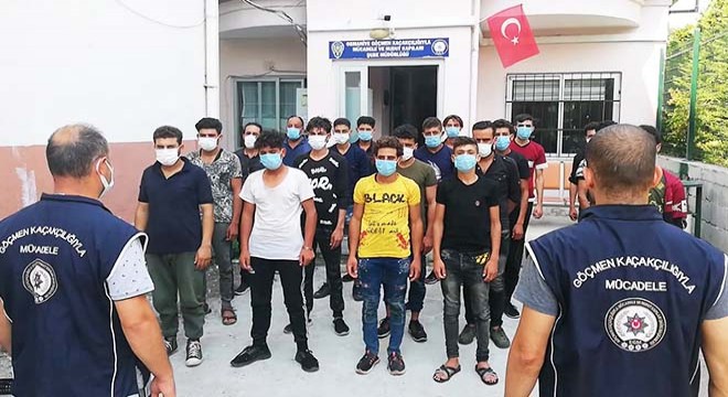14 kişilik minibüsten 20'si kaçak, 28 Suriyeli çıktı
