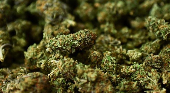 171 kilo uyuşturucuya 9 gözaltı