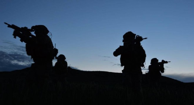 2 PKK'lı terörist teslim oldu
