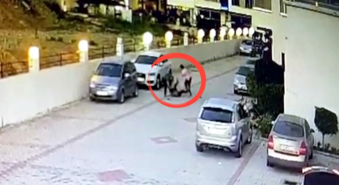 2 kadının site bahçesinde öğretmeni darbettiği anlar kamerada