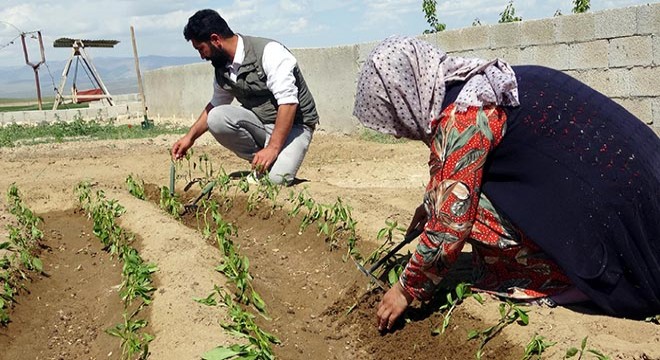 2 üniversite bitirip, 81 kenti gezdiler; şimdi çiftçiler