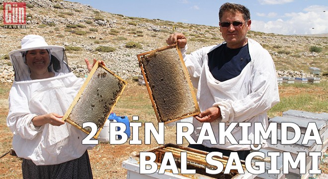 2 bin rakımda bal sağımı