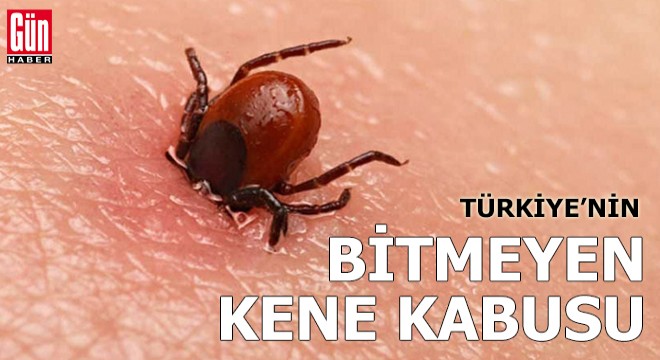 20 yıldır aşıyı bekleyen  kene  kabusu