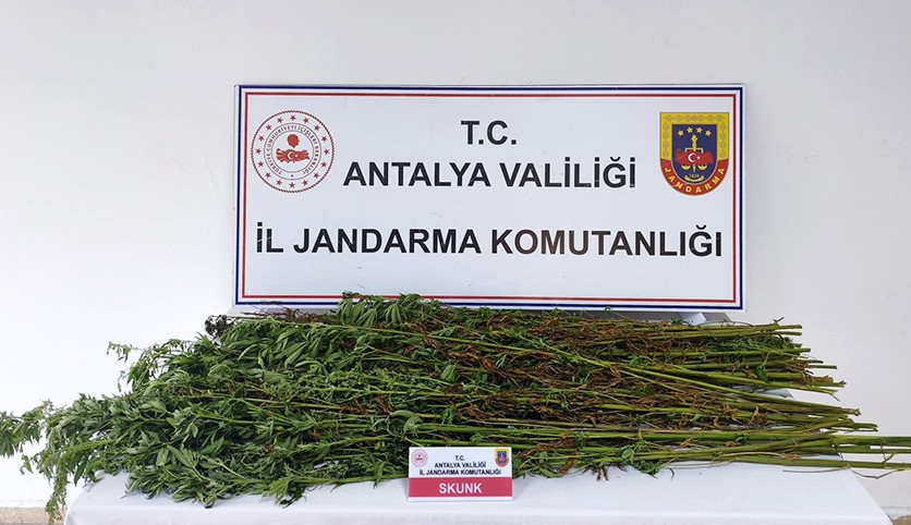 Antalya'da jandarmadan uyuşturucu operasyonu