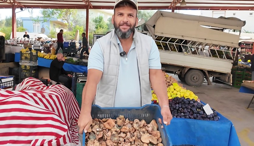 Çıntar mantarı Antalya'da pazar tezgahında