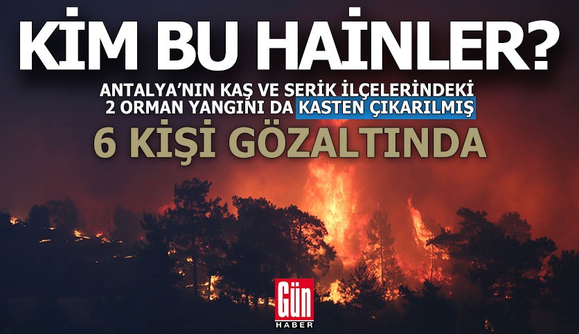 Kim bu hainler?