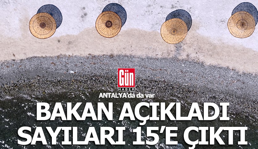 Bakan açıkladı; Sayıları 15'e çıktı...