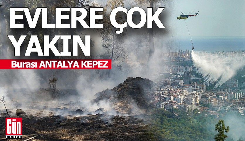Kepez'de evlere çok yakın bölgede orman yangını çıktı