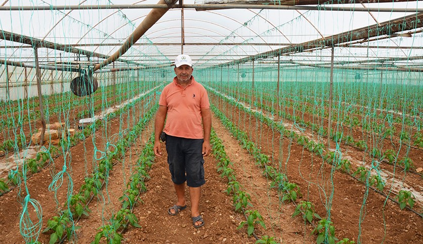 Serik'te kapya biber ekimine başlandı