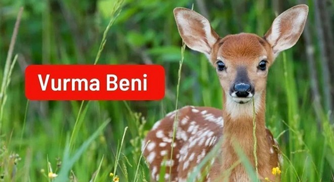 234 STK'dan 'vurma beni' çağrısı